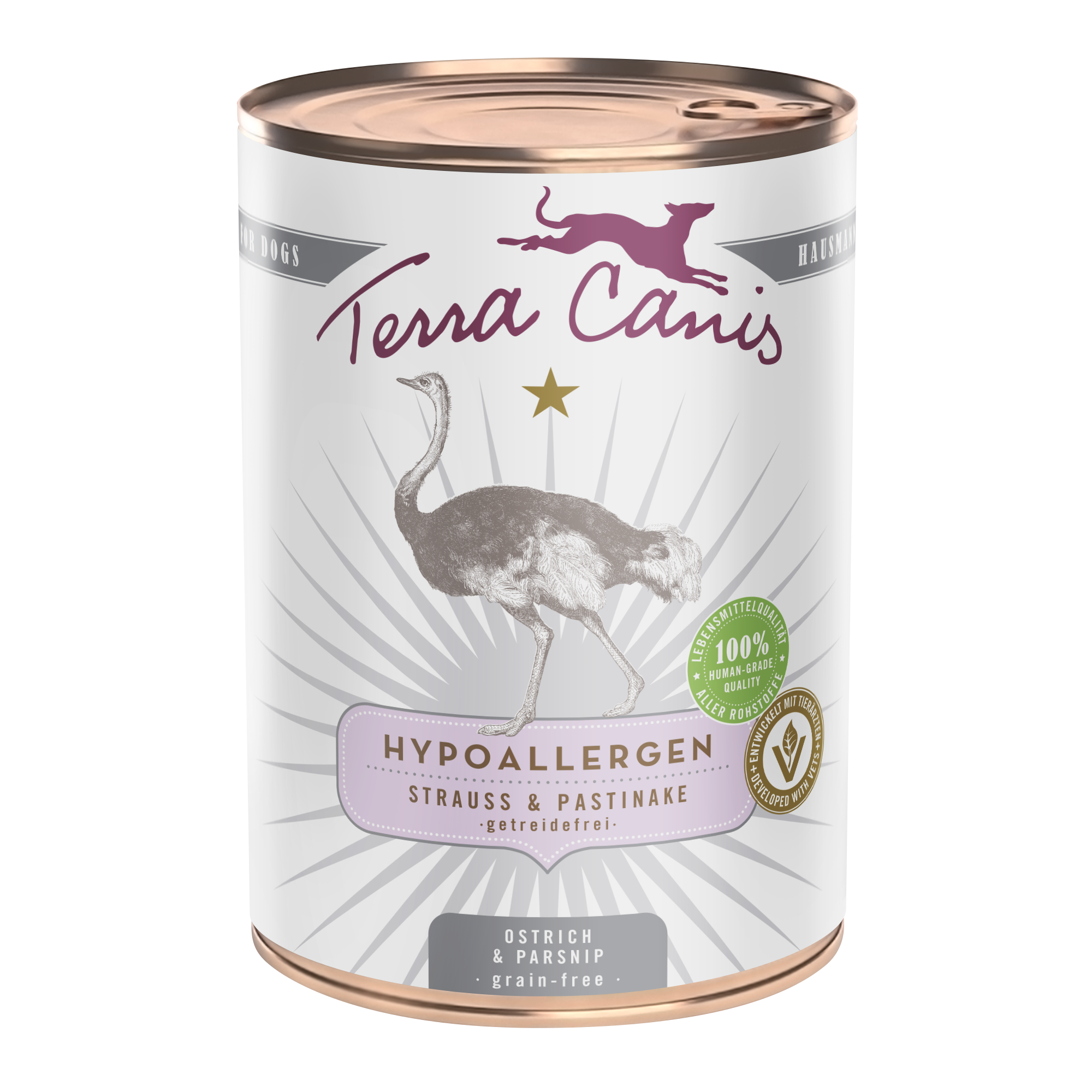 Strauß mit Pastinake